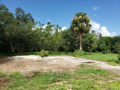 917 Louisiana Ave, Sebastian, FL 32958 - photo 4