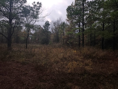 431714 E 1865 Rd, Rattan, OK 74562 - photo 6