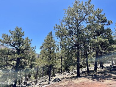 2 E County Road 1013 Rd unit 12, Greer, AZ 85927 - photo 7