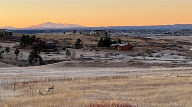 7363 Stroh Rd, Parker, CO 80134 - photo 3