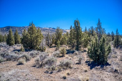 DJI_0537