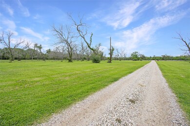 20272 County Road 319, Brazoria, TX 77422 - photo 6