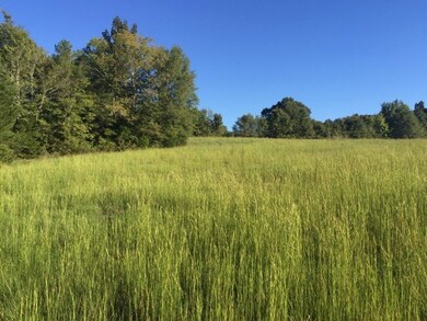 9711 Lower Thomaston Rd, Macon, GA 31220 - photo 3