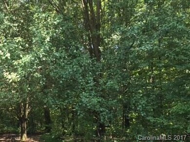 228 Gaston Ct unit 39, Statesville, NC 28625 - photo 5