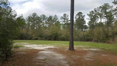 XX Steeple Chase Ln, Crawfordville, FL 32327 - photo 6