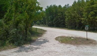 0 Seameadows Dr unit A4509741, Perry, FL 32348 - photo 3