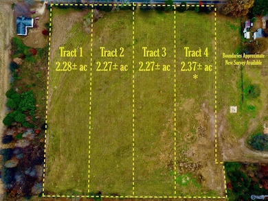 Tract 4 County Road 89, Anderson, AL 35610 - photo 3
