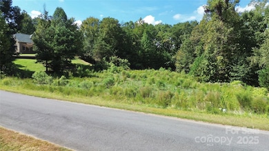 733 Cooks Cove Ridge unit 20, Clover, SC 29710 - photo 4