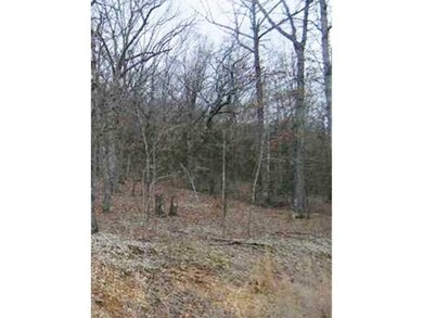 0 Ria Ln unit 699123, Eureka Springs, AR 72631 - photo 5