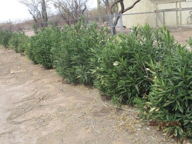 101 E Sahuaro, Ajo, AZ 85321 - photo 6