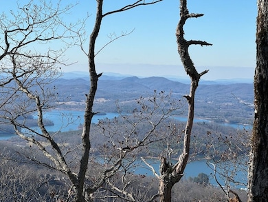 00 Cliffside Dr unit LotWP002, Hayesville, NC 28904 - photo 6