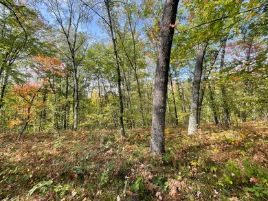 V/L 20A N Woodbridge Dr, Bitely, MI 49309 - photo 3