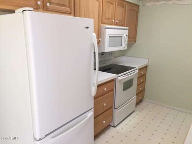 17210 N 105th Ave, Sun City, AZ 85373 - photo 4