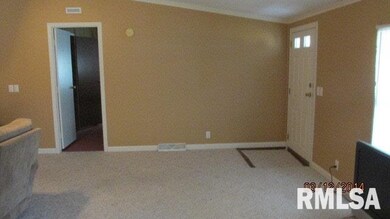 1913 Chestnut St, Harrisburg, IL 62946 - photo 7