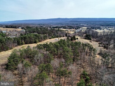 393 Guy Mason Ln, Hedgesville, WV 25427 - photo 6