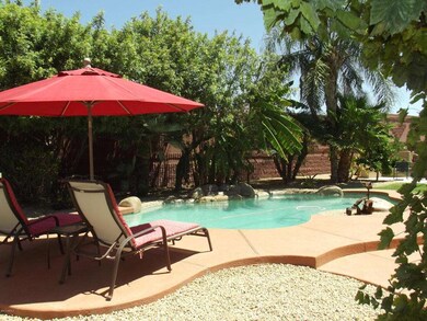 Tropical backyard