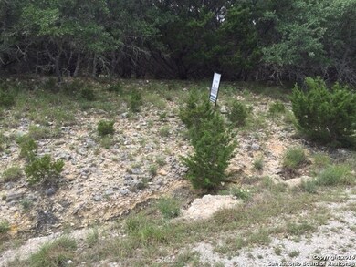 23849 Iron Horse, San Antonio, TX 78255 - photo 3