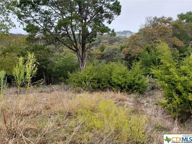 15831 Loveta Lane Ct, Temple, TX 76502 - photo 4