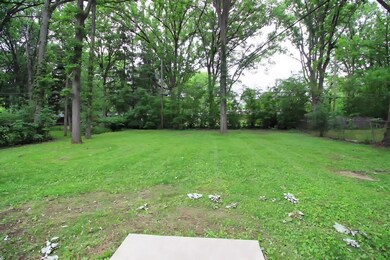 Back Yard 2