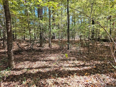 TBD Tunica Trace, Saint Francisville, LA 70775 - photo 2