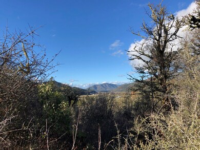 VIEWS