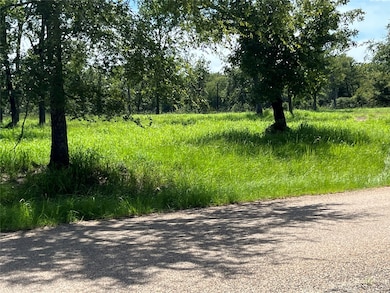 TBD Hickory Loop, Thornton, TX 76687 - photo 3