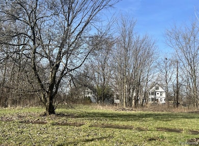 5361 Mitchell St, Detroit, MI 48211 - photo 4