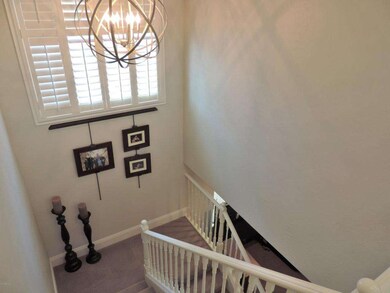 Full Finished Basement