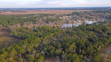 Lot 45 , Scenic Rt S D On Scenic Route, Cordele, GA 31015 - photo 6
