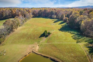 3297 Three Island Rd, Walling, TN 38587 - photo 4