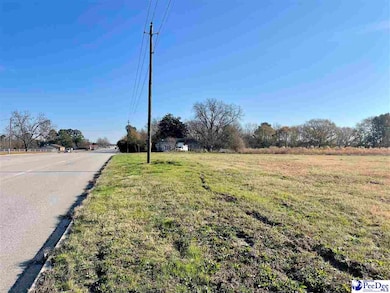 Hwy 9 Angelus Rd, Chesterfield, SC 29709 - photo 4