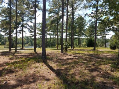 Ready for your Mobile Home!  Power Pole & Septic i