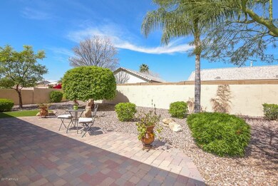 Backyard2