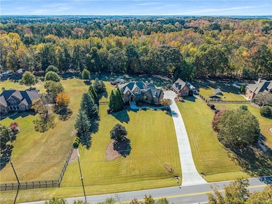 Bird's eye view of a forest