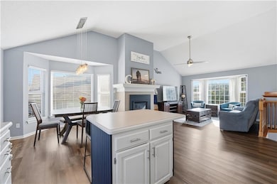 1020 N Logan St, Olathe, KS 66061 - photo 7