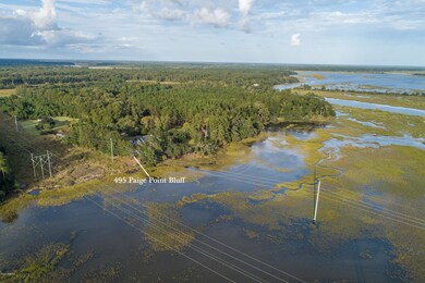 495 Paige Point Bluff, Seabrook, SC 29940 - photo 5