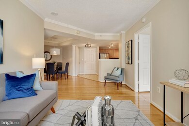 3835 9th St N unit 604W, Arlington, VA 22203 - photo 3