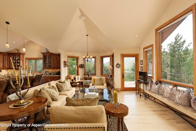 121 Ridge Rd, Basalt, CO 81621 - photo 6