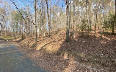 Additional View