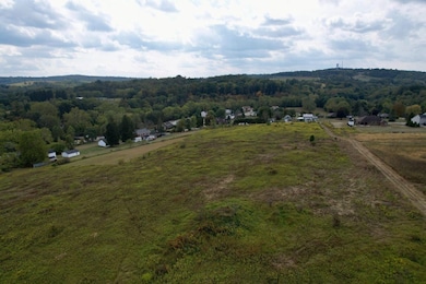 0 Pigeon Creek Rd unit 25006604, Eighty Four, PA 15330 - photo 6