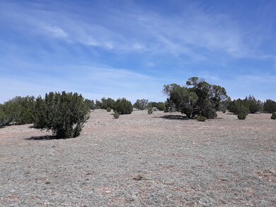 Lot 390 Unit 4 Juniperwood Ranch, Ash Fork, AZ 86320 - photo 3