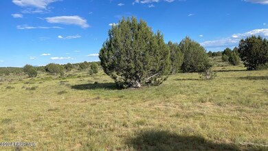 20220902233914647102000000-o-2