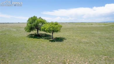 23655 E Garrett Rd, Calhan, CO 80808 - photo 3