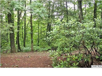 407 Three Ridges, Wintergreen Resort, VA 22967 - photo 6