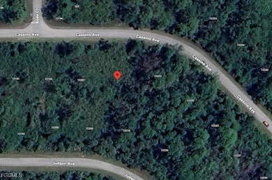 12215 Cassino Ave, Port Charlotte, FL 33953 - photo 3