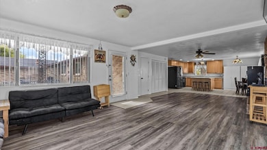 54481 Banner Rd, Delta, CO 81416 - photo 7