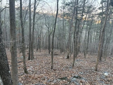 1135 Embry Ct, Ranger, GA 30734 - photo 4