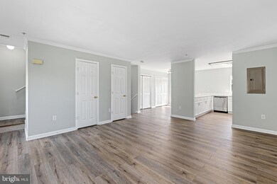 23428 Rainbow Arch Dr, Clarksburg, MD 20871 - photo 4