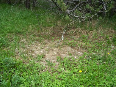 2 Bedroom Septic System Installed