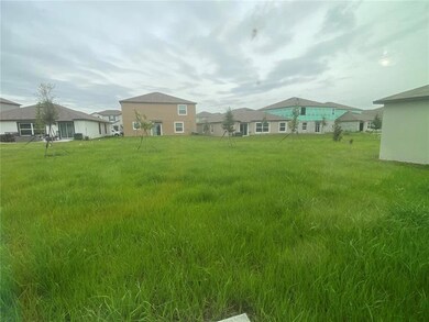 31688 Sun Kettle Loop, Wesley Chapel, FL 33545 - photo 6